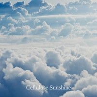 Cellulose Sunshine - Substance