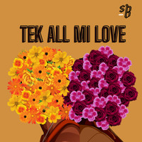 SB - Tek All Mi Love