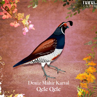 Deniz Mahir Kartal - Qele Qele (Live)