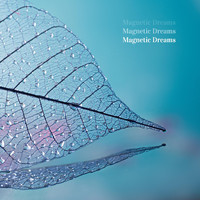 Magnetic Dreams - Archipelago
