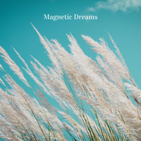Magnetic Dreams - Aerial