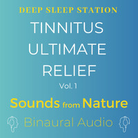 Deep Sleep Station - Tinnitus Ultimate Relief, Vol. 1: Sounds from Nature