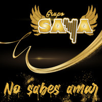 Grupo Saya - No sabes Amar (En Vivo)
