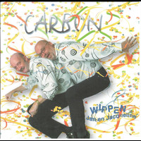 Carbon - Wippen