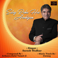 Suresh Wadkar - Sulag Raha Hai Aashiyan
