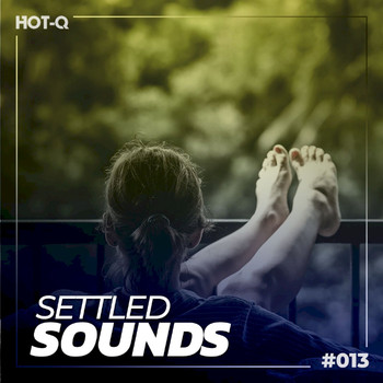 Various Artists - Settled Sounds 013