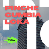 David Alvarez - Pinche Cumbia Loka (Explicit)