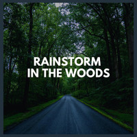 Thunderstorm Global Project - Rainstorm in the Woods
