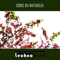 Technomind - Sons da Natureza