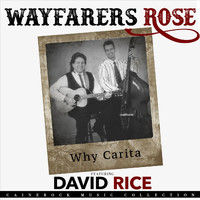 Wayfarers Rose - Why Carita (feat. David Rice)