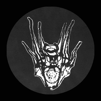 Various Artists - Transgression