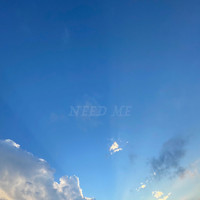 BLu - Need Me