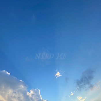 BLu - Need Me