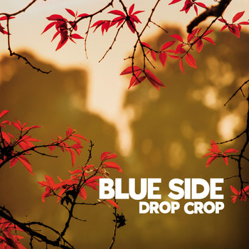 Blue Side - Drop Crop