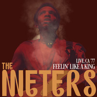 The Meters - Feelin' Like A King (Live, California '77)