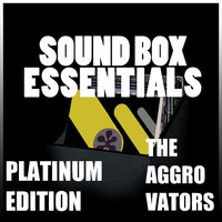 The Aggrovators - Sound Box Essentials Platinum Edition