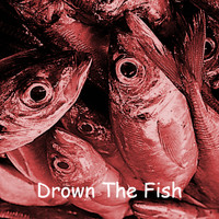 Alain Kalfon - Drown the Fish