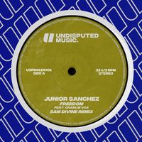 Junior Sanchez - Freedom (feat. Charlie Vox) (Sam Divine Remix)