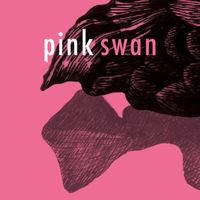 Pink Swan - Admire
