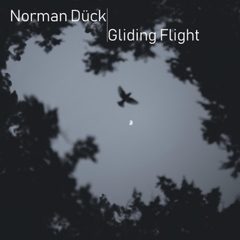 Norman Dück - Gliding Flight