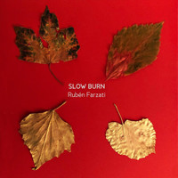 Rubén Farzati - Slow Burn