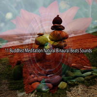 Binaural Beats - 11 Buddhist Meditation Natural Binaural Beats Sounds