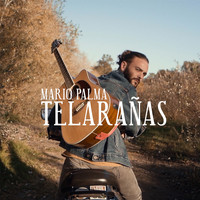 Mario Palma - Telarañas