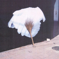 Sontag Shogun - Flutter & Scrape