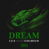 Zed - Dream