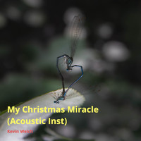 KEVIN WELCH - My Christmas Miracle (Acoustic Inst) (Acoustic Inst)