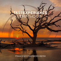 TasteXperience - Driftwood (Francesco Sambero Remix)