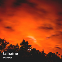 Ccspider - La Haine (Instrumental) (Instrumental)