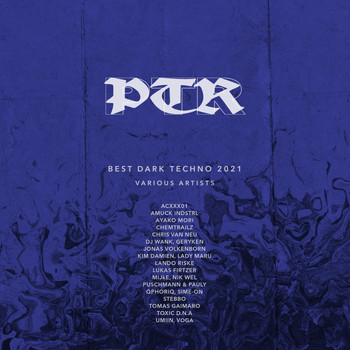 Various Artists - PTR Acid Techno -Best-