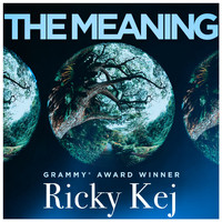 Ricky Kej - The Meaning