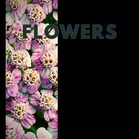 Brad Majors - Flowers