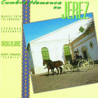 Manuel Soto - Cumbre Flamenca en Jerez (Explicit)