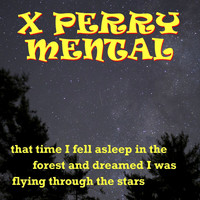 X Perry Mental - That Time I Fell Asleep in the Forest and Dreamed I Was Flying Through the Stars