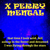 X Perry Mental - That Time I Took Acid, Fell Asleep in the Forest and Dreamed I Was Flying Through the Stars