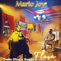 Mario Joy - Flava (Dudu Nicula Remix)