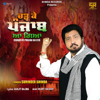 Surinder Shinda - Charh Ke Punjab Aa Gya