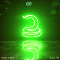 Hybrid Theory - Snake Fist