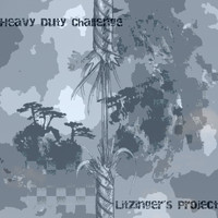 Litzinger's Project - Heavy Duty Challenge