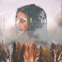 David Dunn - Perspectives (Deluxe)