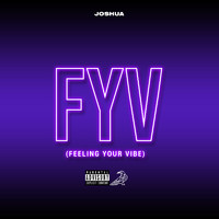 Joshua - FYV (Feeling Your Vibe) (Explicit)