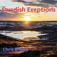 Chris Brown - Swedish Exeptions (Instrumental) (Instrumental)
