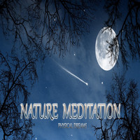 Physical Dreams - Nature Meditation
