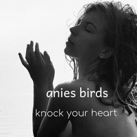 Anies Birds - Knock Your Heart