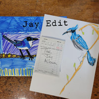 Jay Edit - The Jay Album