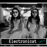 Cay-T - Electronicat