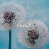 xerLK - Skylight